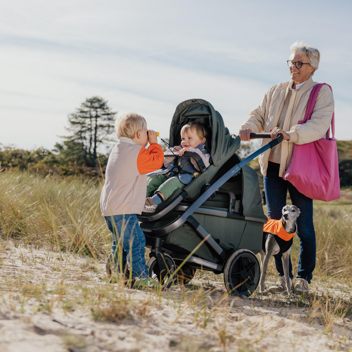 Joolz Geo5 Kinderwagen Set 3 in 1 inkl. Cybex Cloud T i-Size Babyschale