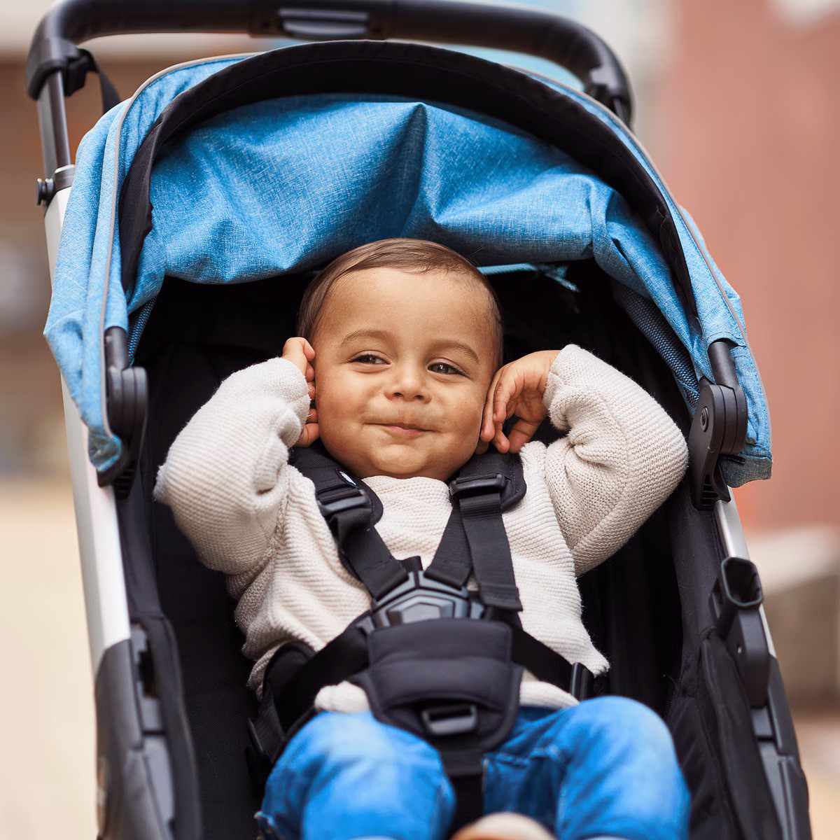 Thule Spring Buggy
