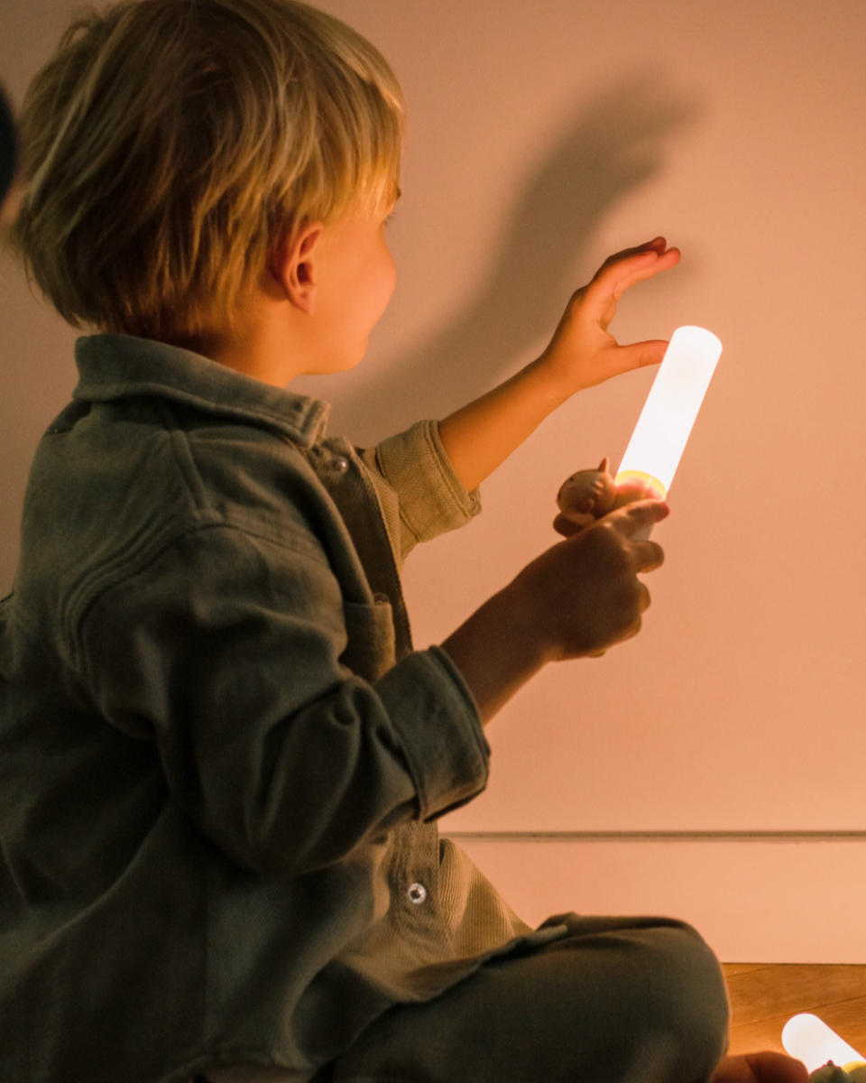 The Zoofamily Zoo Light Flashlight & Night Light