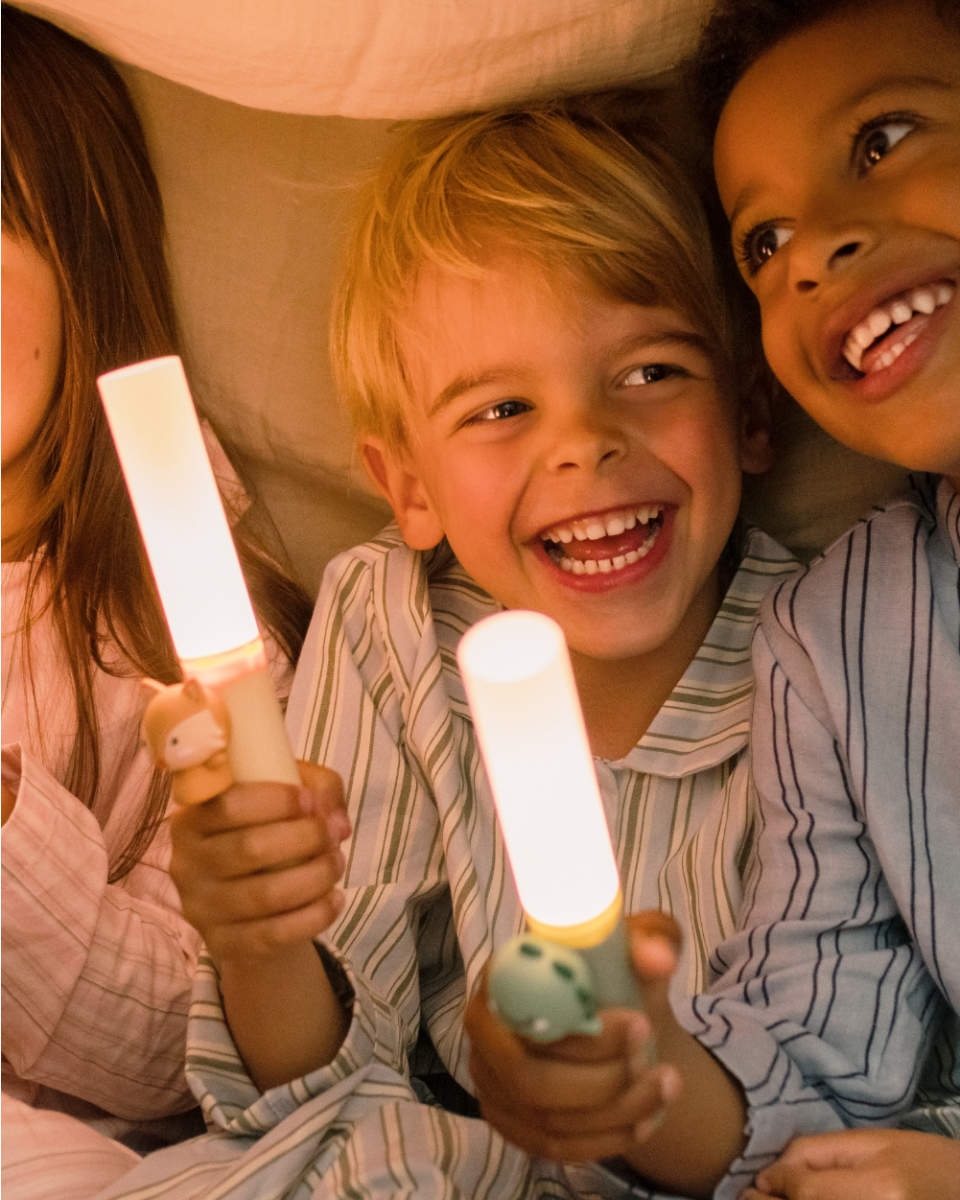 The Zoofamily Zoo Light Flashlight & Night Light