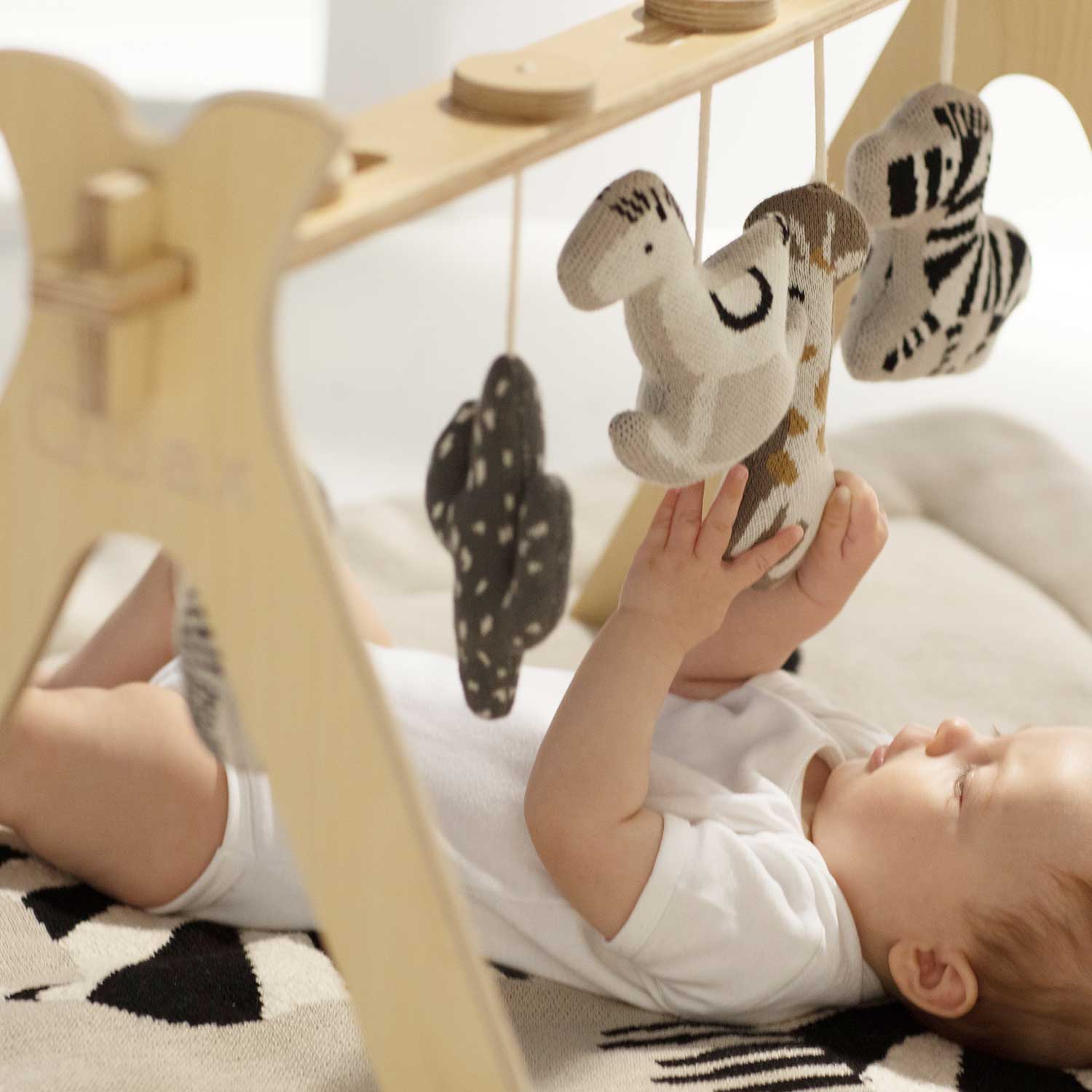 Quax wooden toy arche