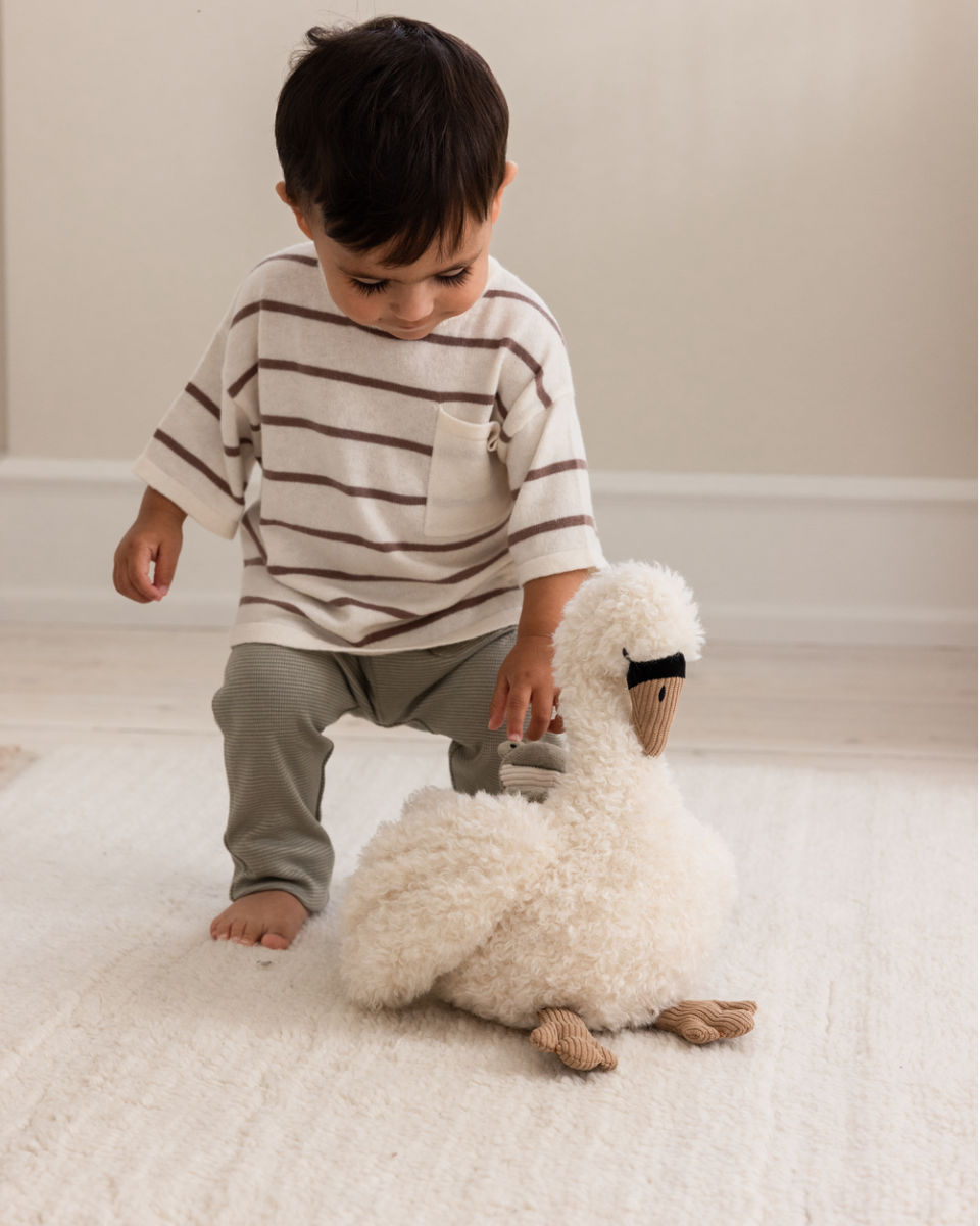 Sebra Activity Toy Swan