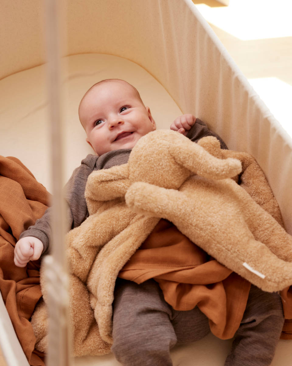 Membantu Baby Cradle 3-15 kg with Foam Mattress