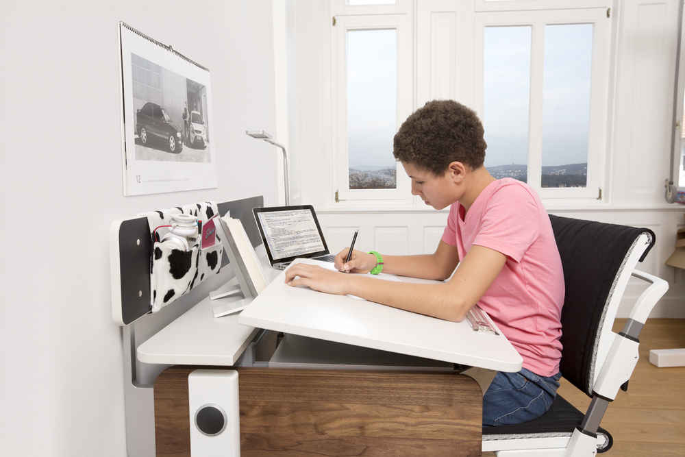 Moll Champion Left Up Desk