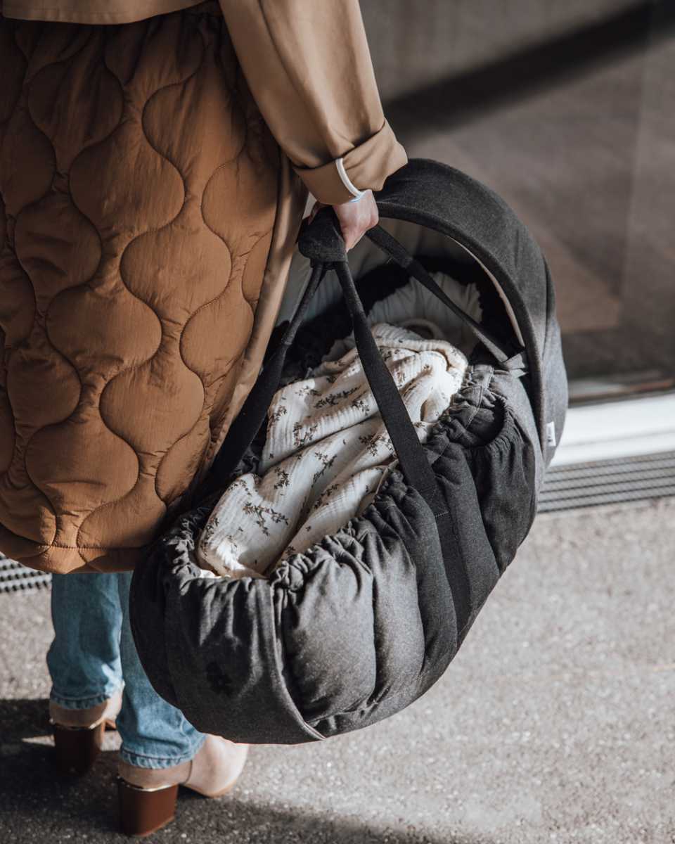 Sebra 3-in-1 Baby Nest and Hood