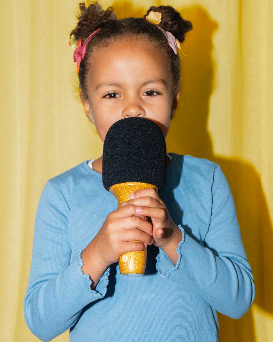 Lalarma Glitter Groove Karaoke Microphone