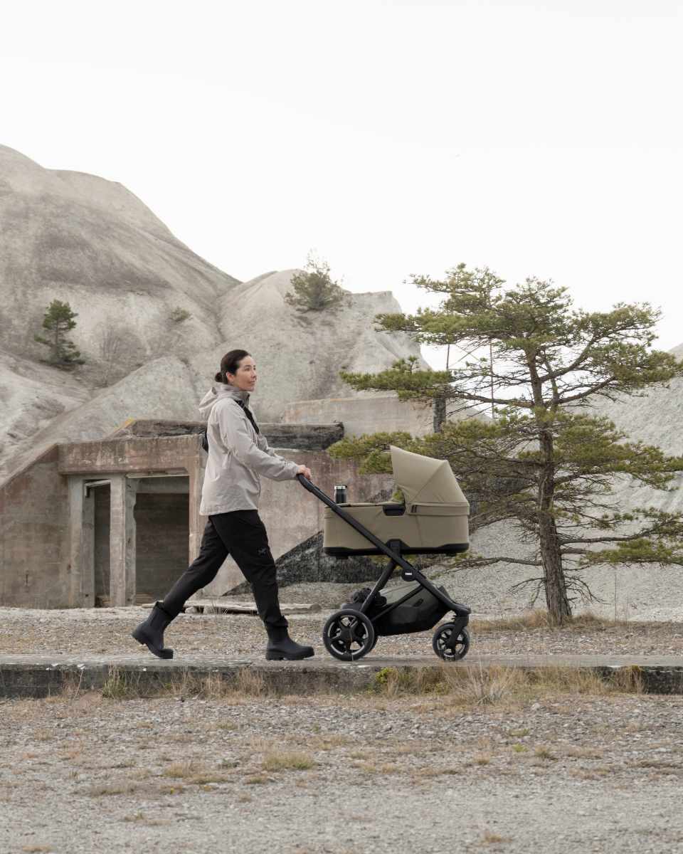 Thule Charm 2 in 1 Kombikinderwagen