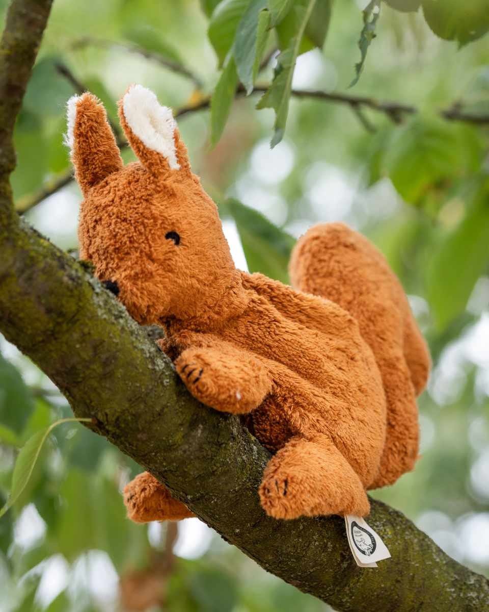 Senger Naturwelt Squirrel Cuddly Toy with Grape Seed Pillow 31 cm