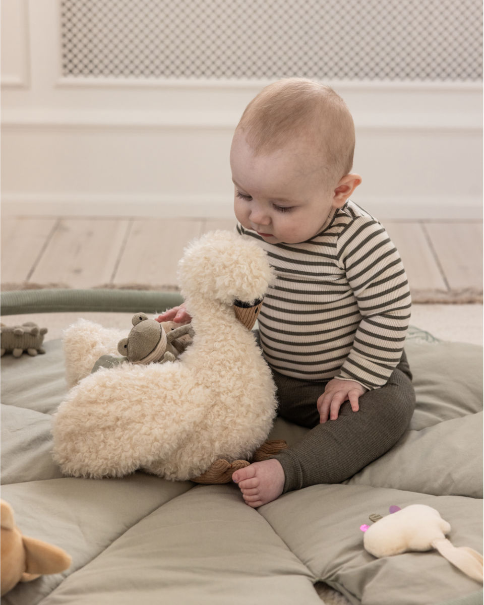 Sebra Activity Toy Swan