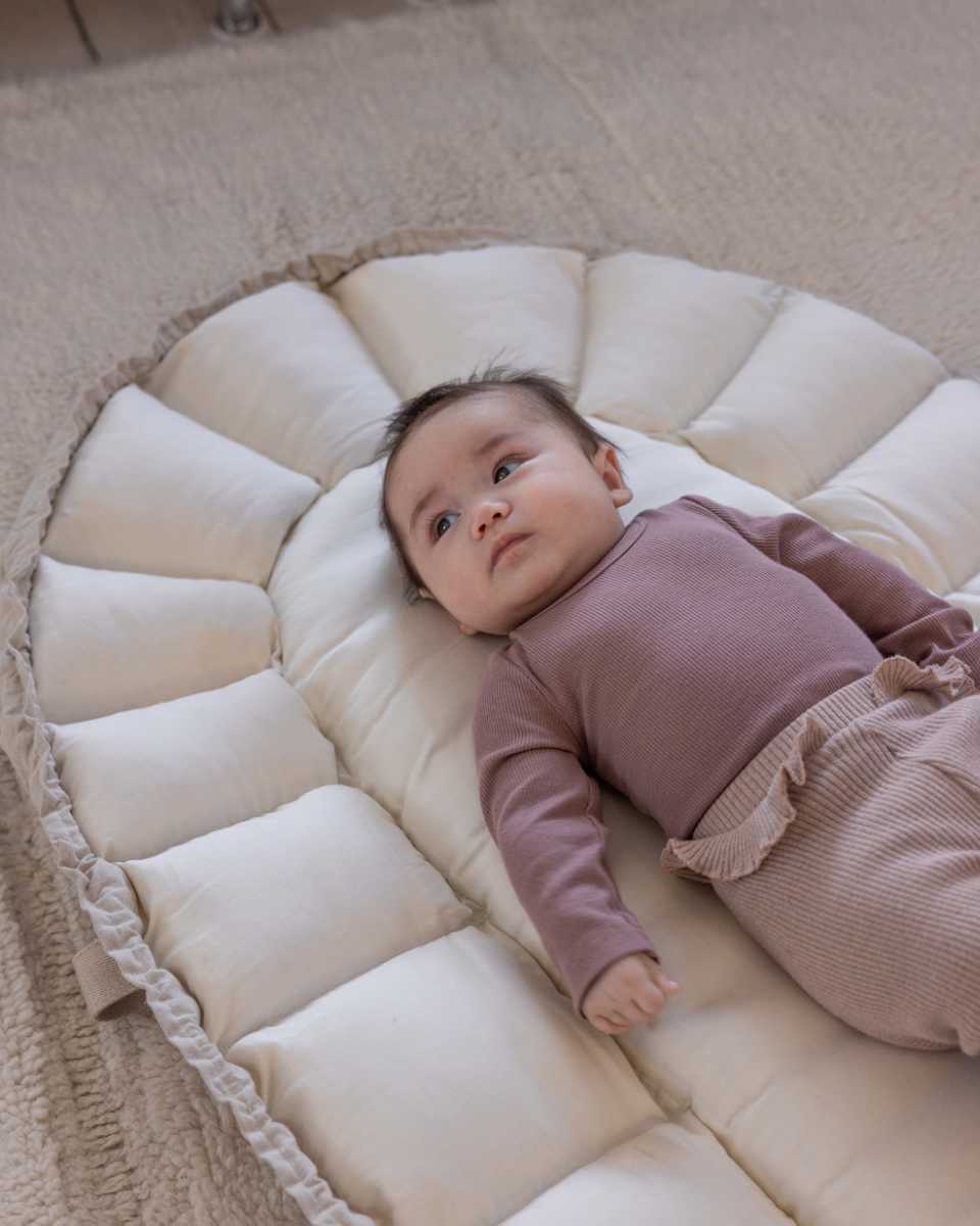 Sebra 3-in-1 Baby Nest and Hood