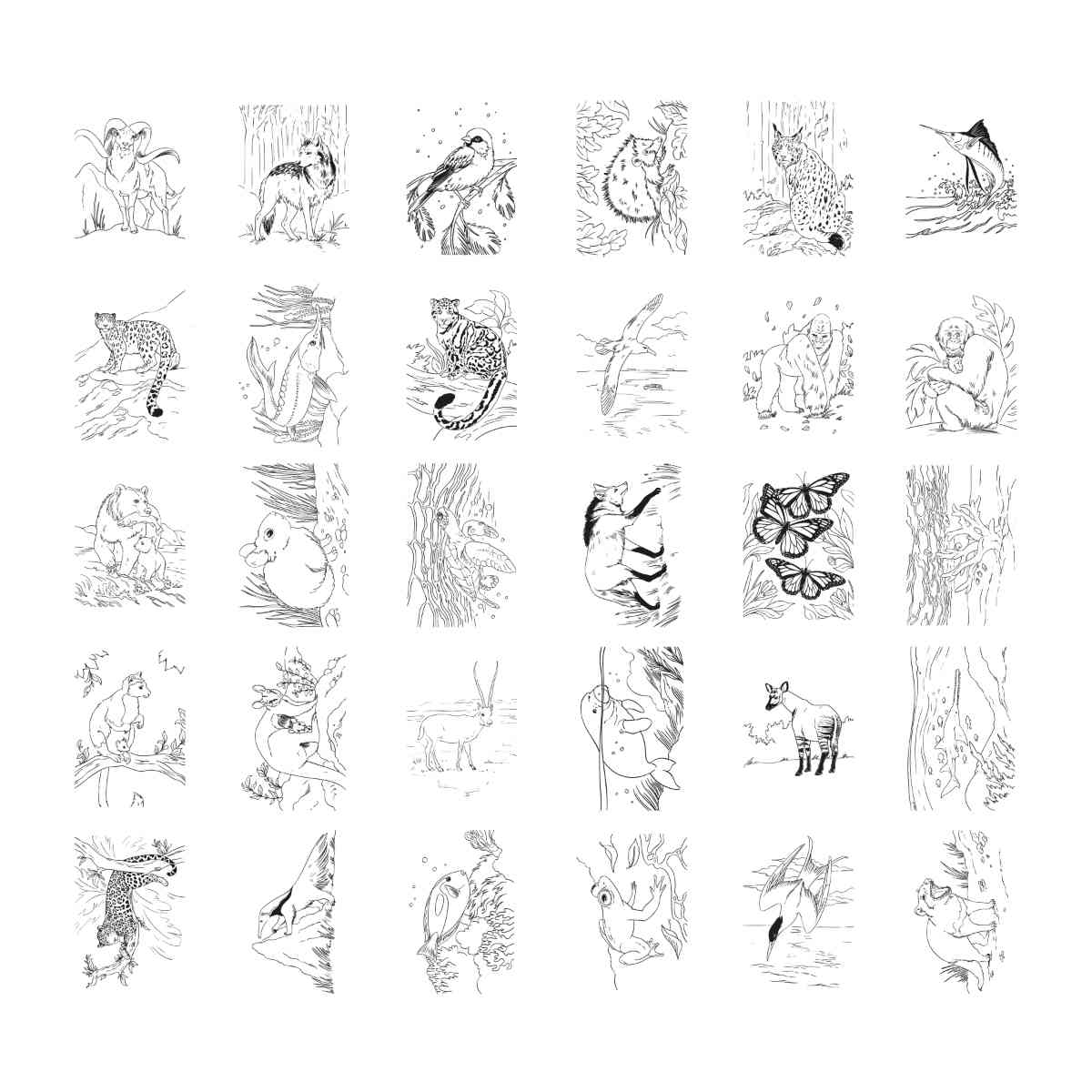 Kidywolf Kidydraw Pad Tracing Tablet – 30 Drawings