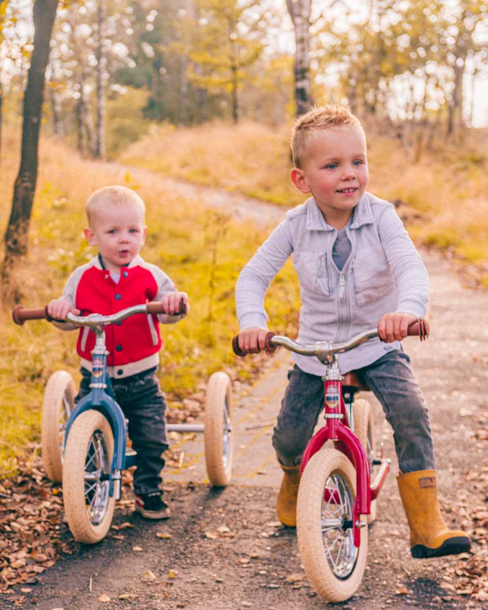 Trybike 2‑in‑1 Steel Tricycle / Balance Bike