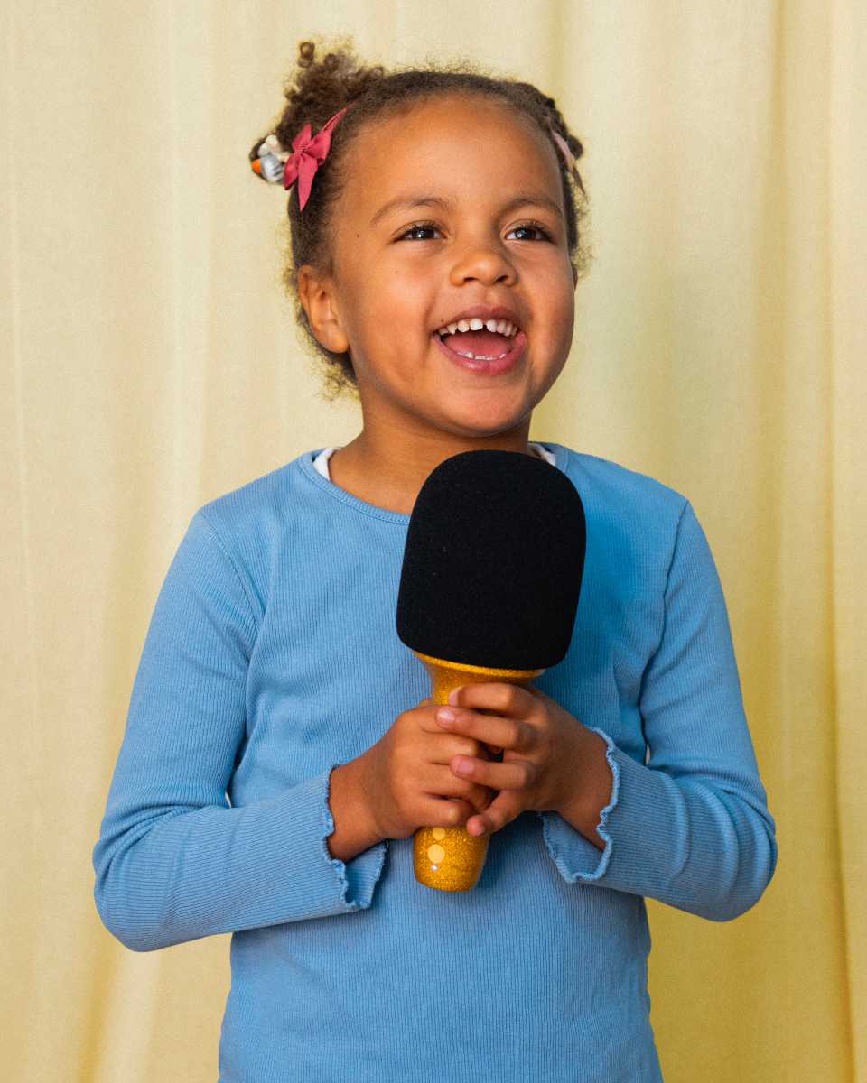 Lalarma Glitter Groove Karaoke Microphone