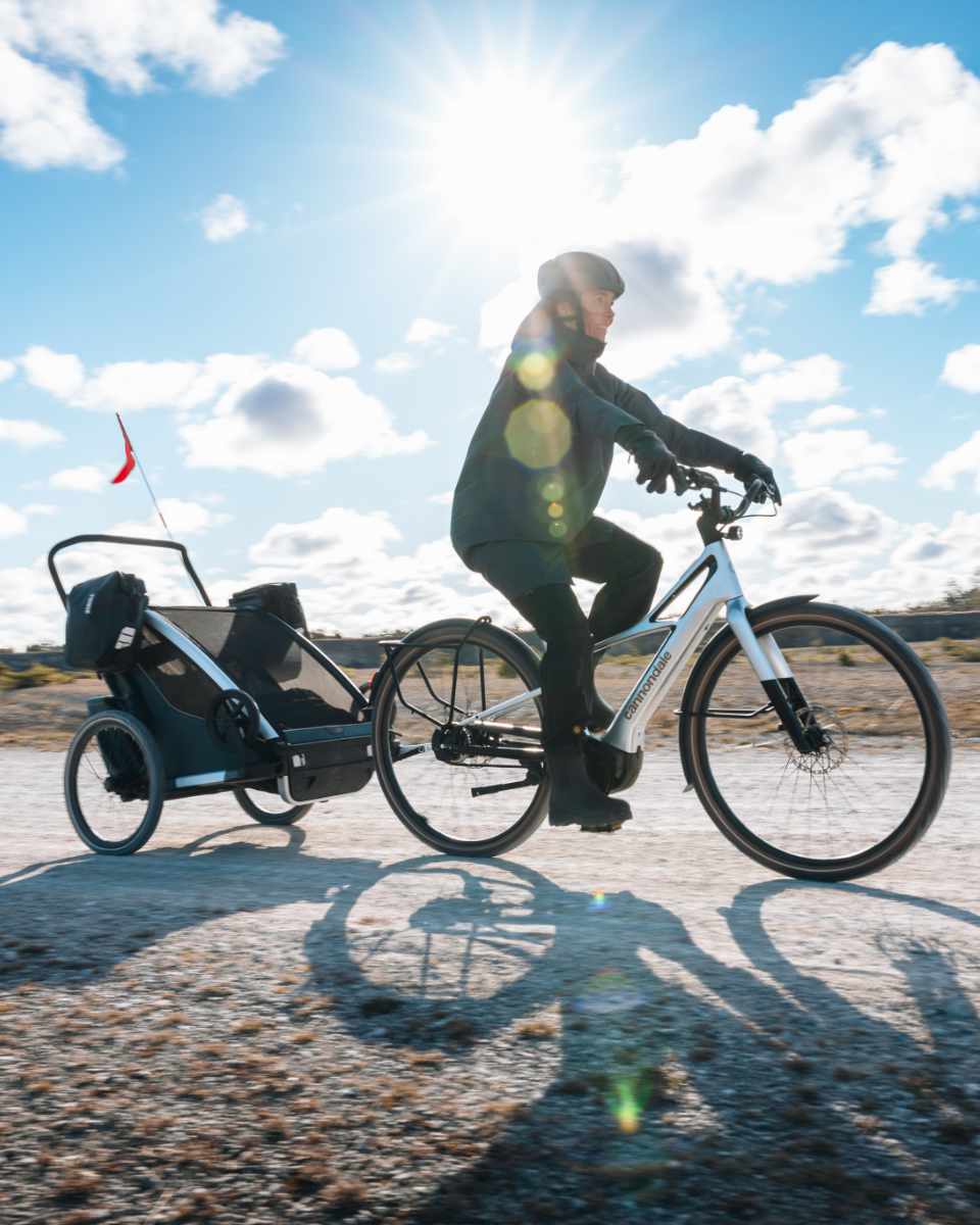 Thule Shield 13L Panniers 2 Pack