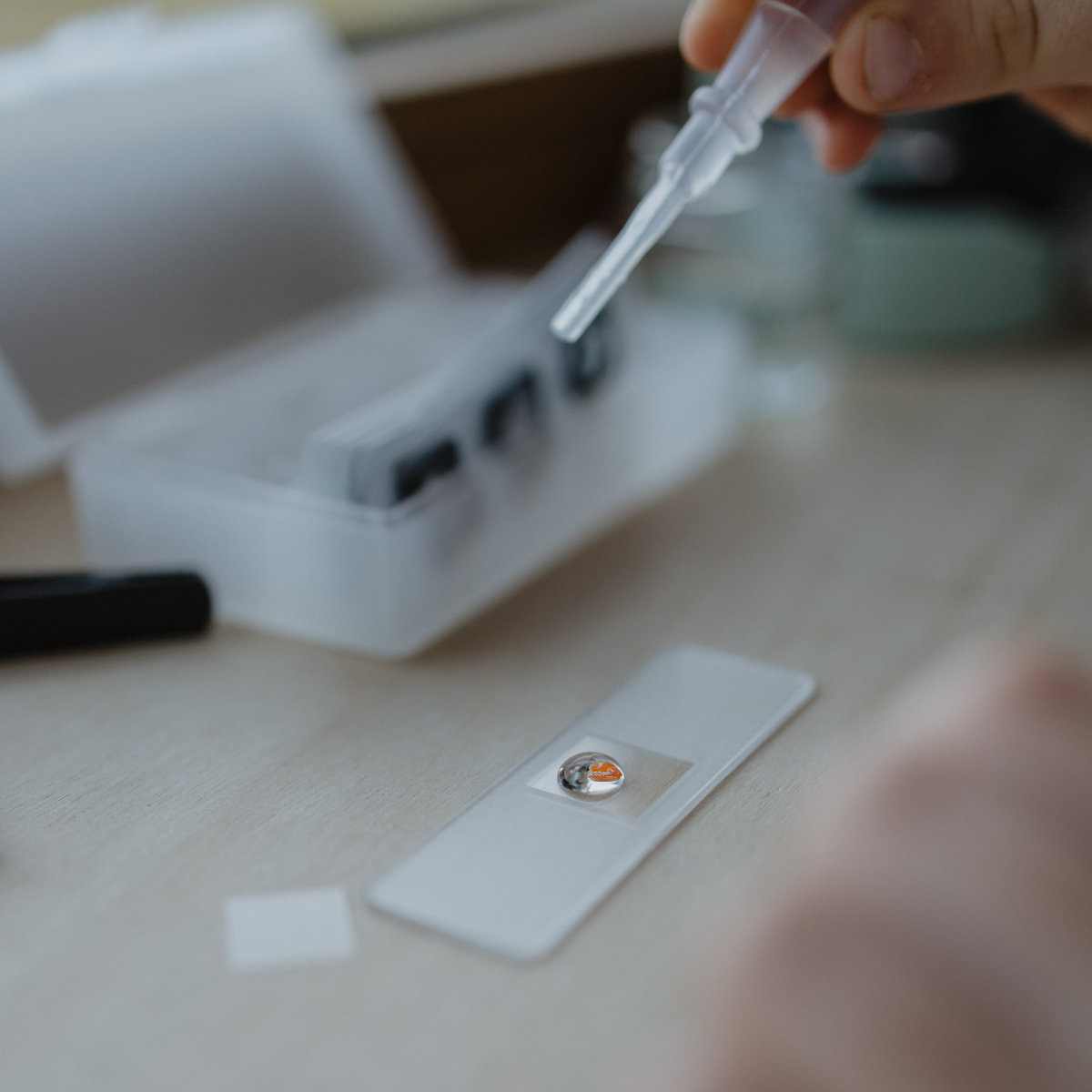 Kidywolf Kidymicroscope Tragbares Mikroskop