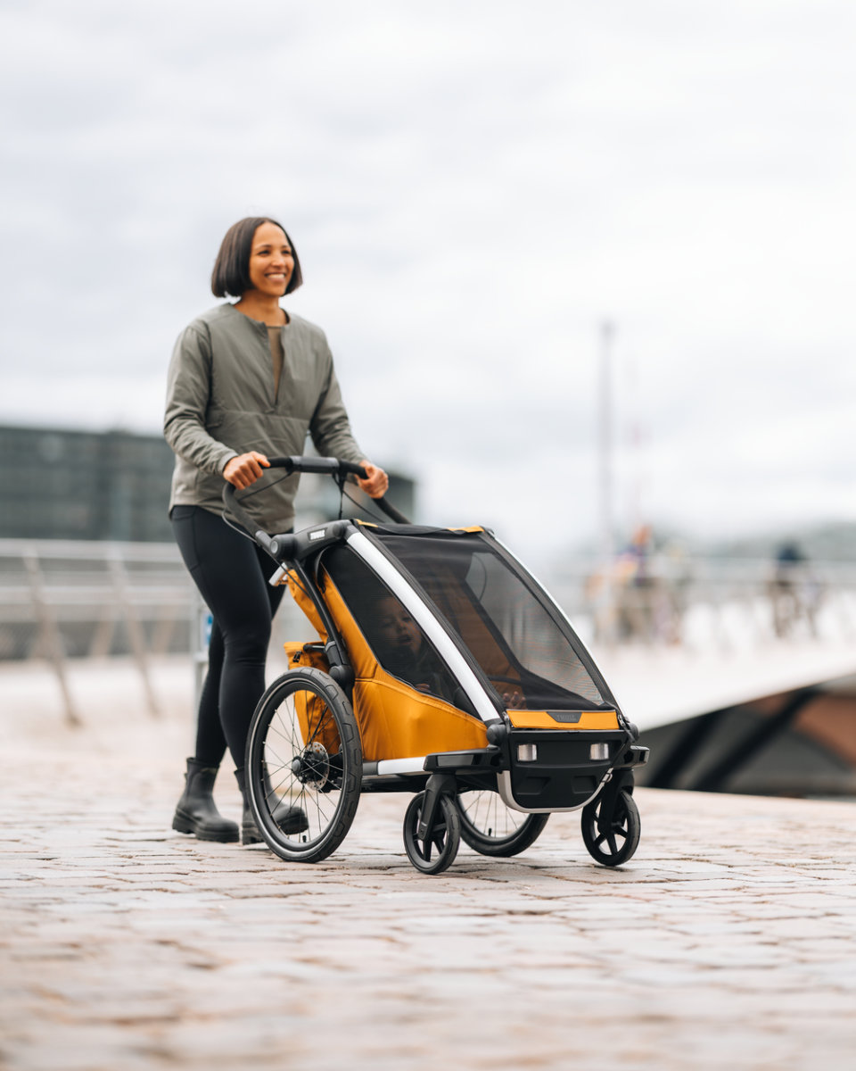 Thule Chariot Sport 2 Single Bike Trailer
