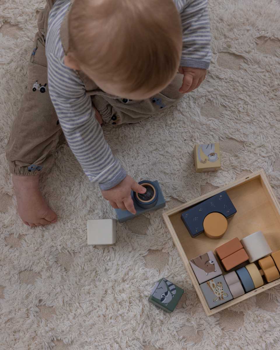 Sebra Magical Wooden Sorting Box