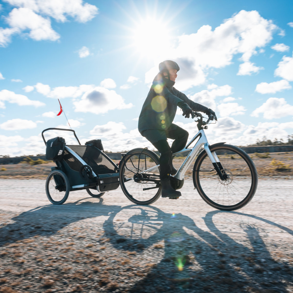 Thule Chariot 2 Taschenadapter in Schwarz - schräg hinten