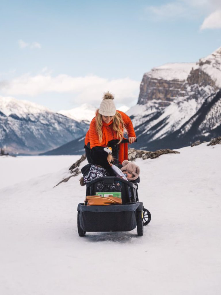 VEER Cruiser All-Terrain Duo foldable Handcart incl. Sun Canopy