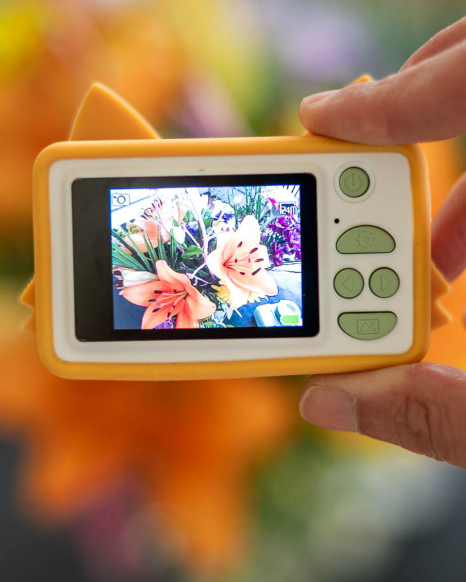 The Zoofamily Zoo Friends C1 Kids Camera