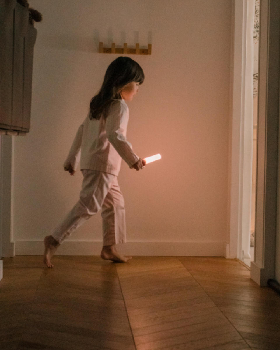 The Zoofamily Zoo Light Flashlight & Night Light