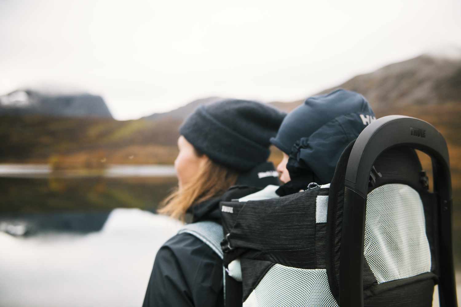 Thule Sapling back carrier incl. accessories