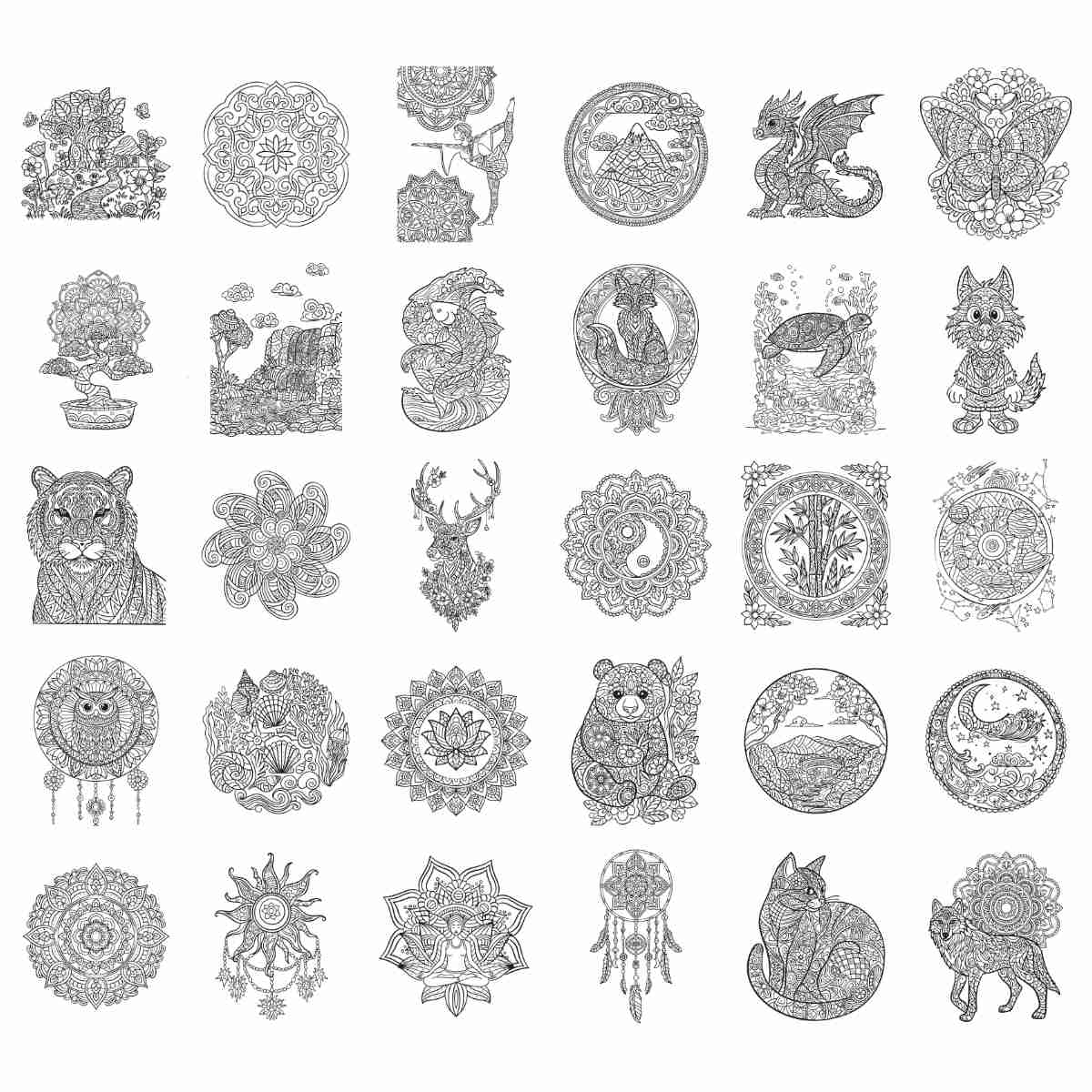 Kidywolf Refill Set for Kidydraw Pad