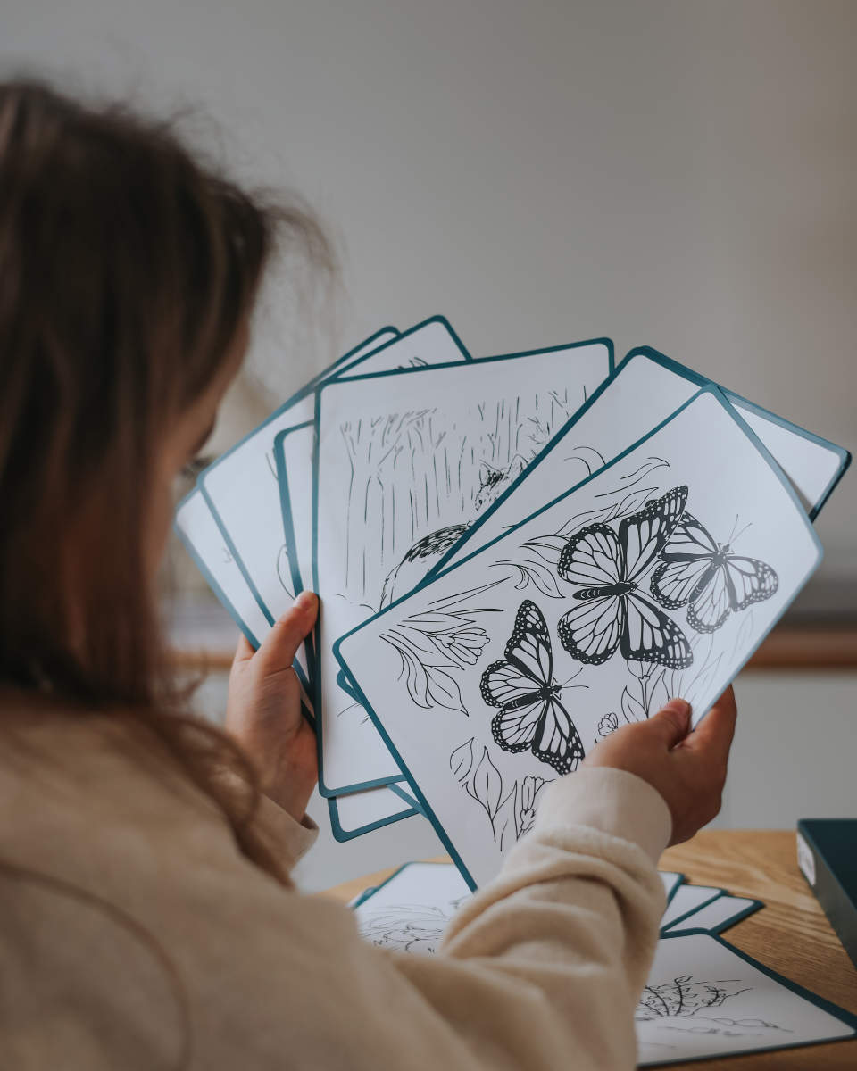 Kidywolf Kidydraw Pad Tracing Tablet – 30 Drawings