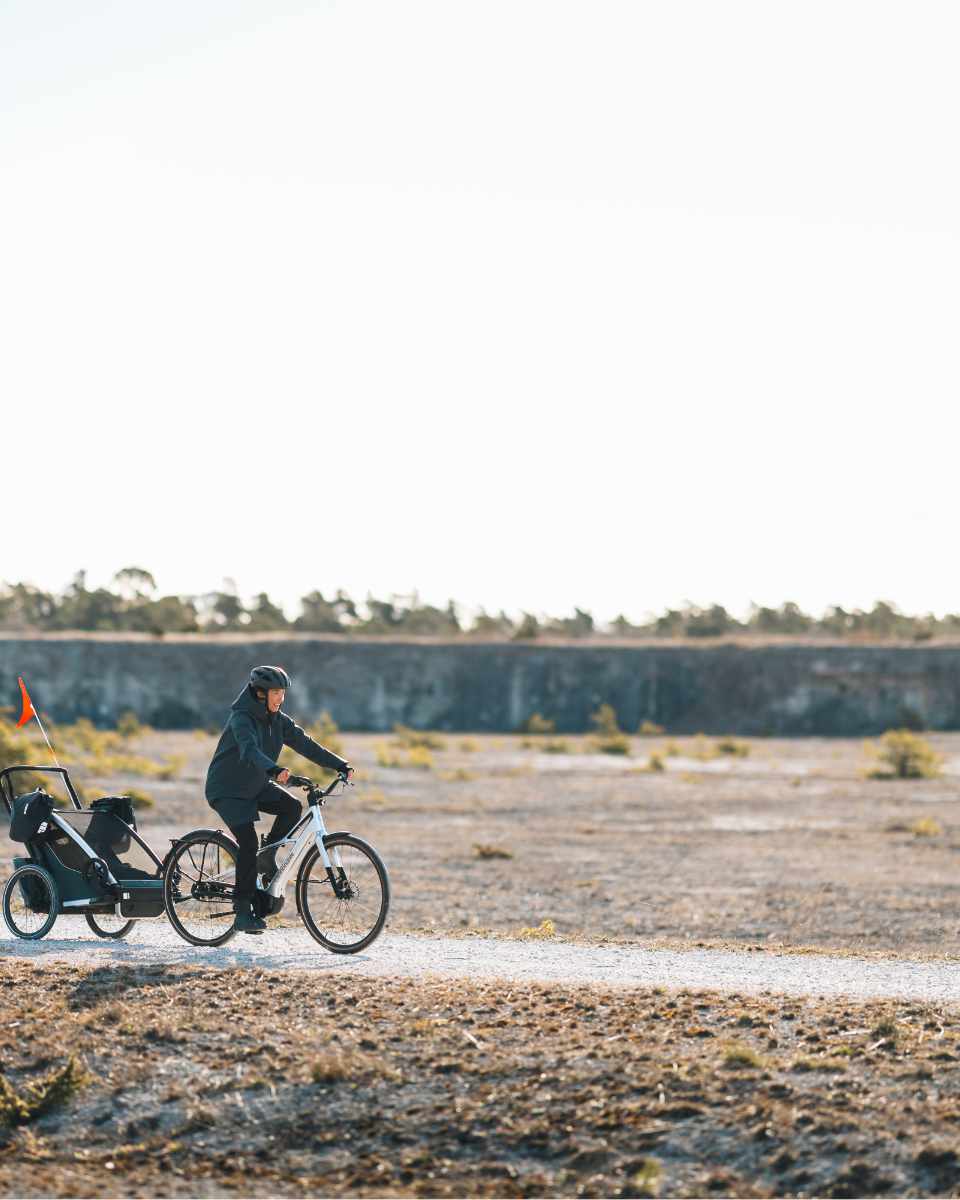 Thule Shield 13L Panniers 2 Pack