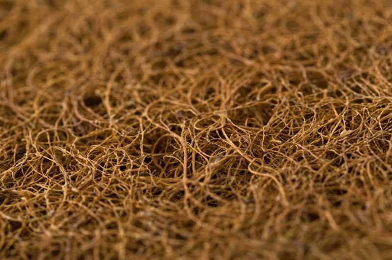 Träumeland Naturwölkchen Mattress for Handcarts/Wagons