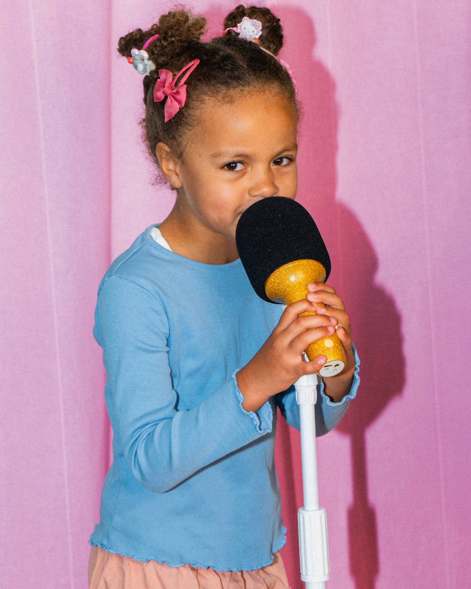 Lalarma Floor Stand for Karaoke Sets