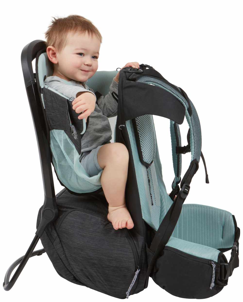Thule Sapling back carrier incl. accessories