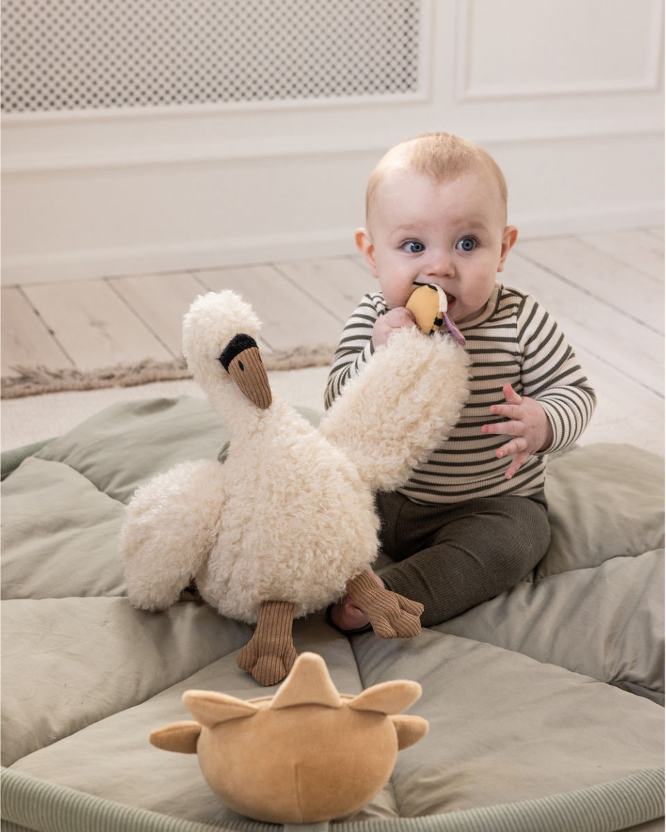 Sebra Activity Toy Swan