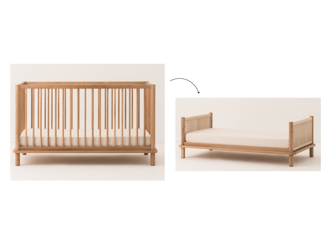 Nobodinoz LATITUDE Evolutionary Junior Kit