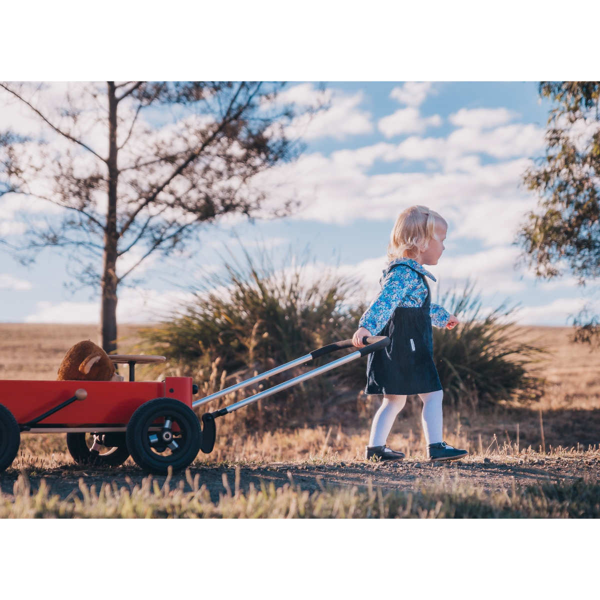 Wishbone Wagon 3in1