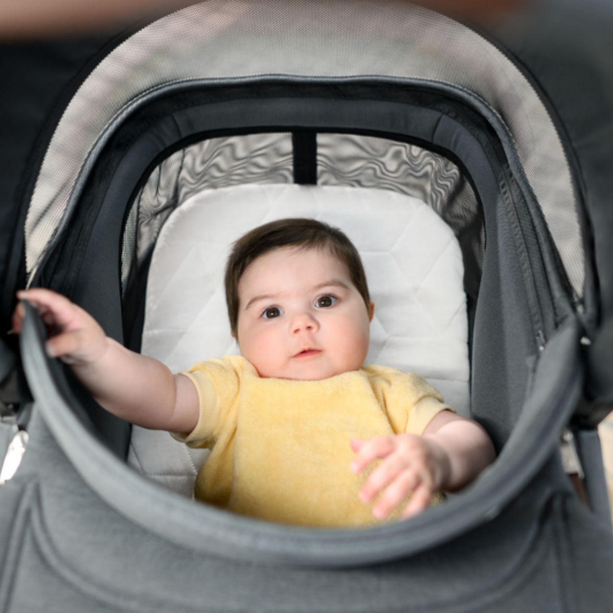 Maxi Cosi Oxford+ Kombikinderwagen mit Sense Babywanne
