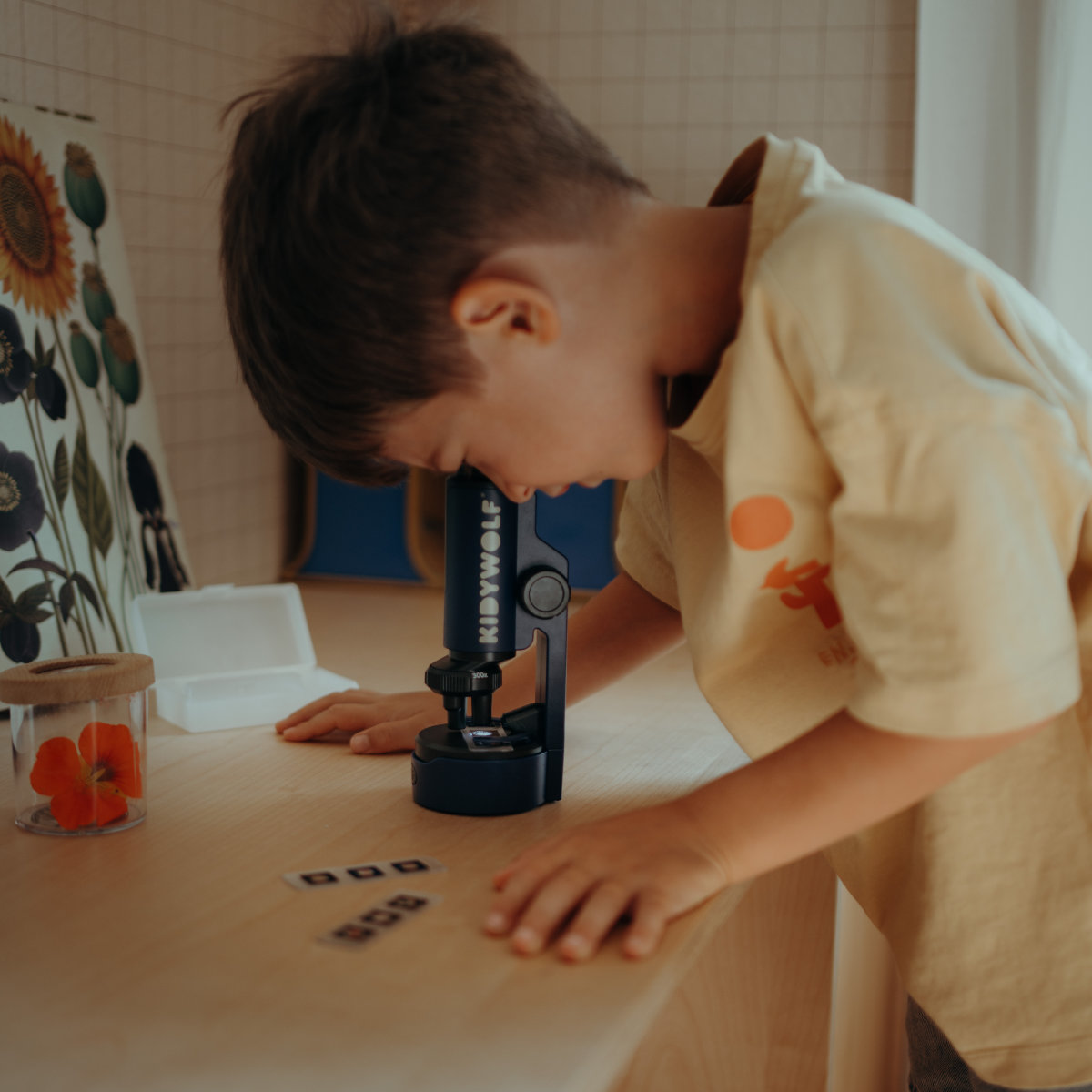 Kidywolf Kidymicroscope Tragbares Mikroskop