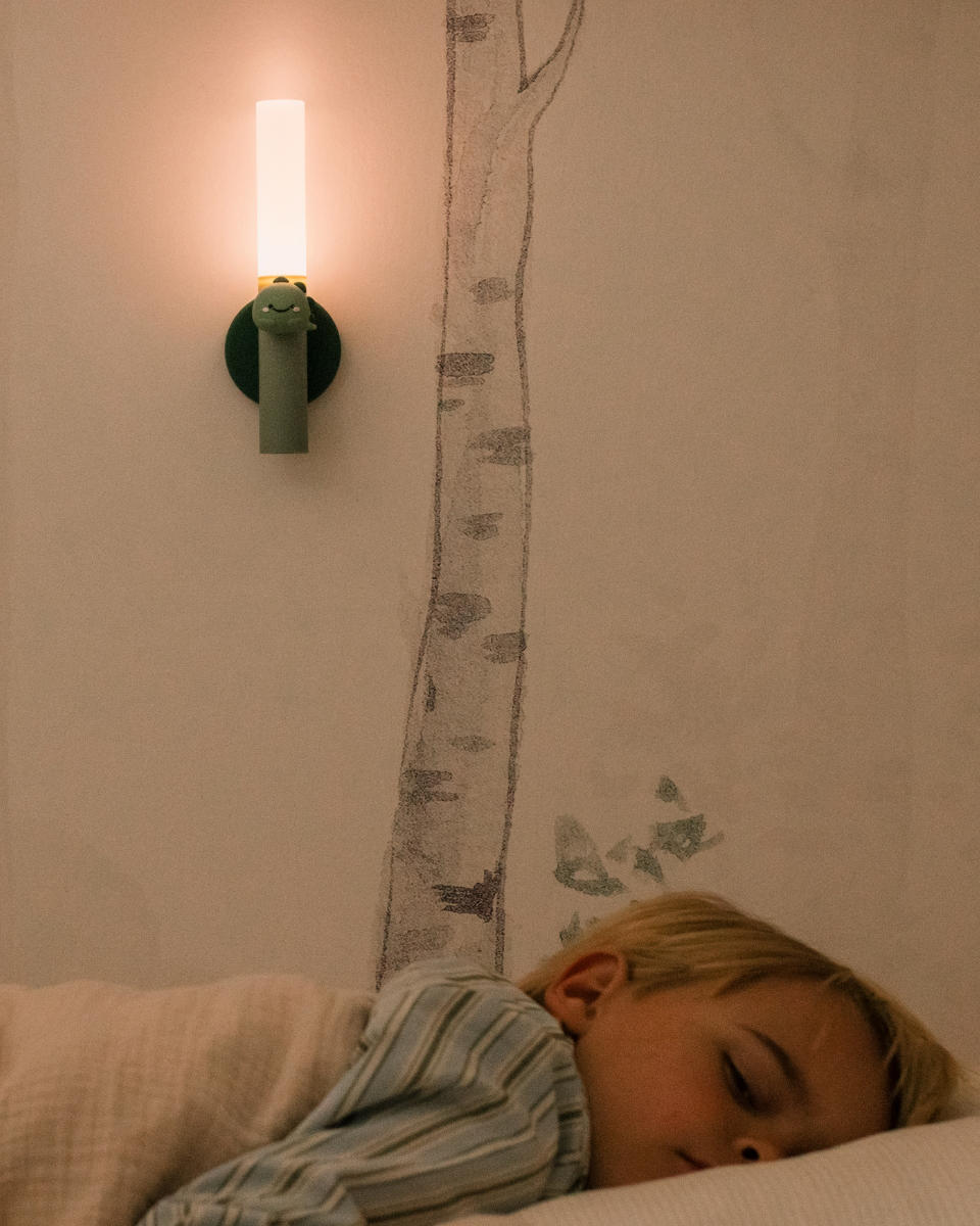 The Zoofamily Zoo Light Flashlight & Night Light