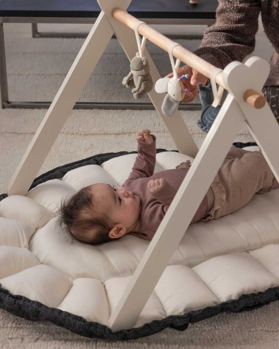 Sebra 3-in-1 Baby Nest and Hood